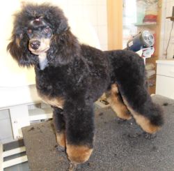 7mo 003